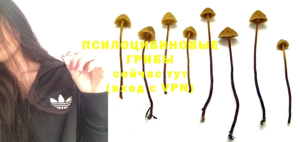 стаф Нефтекумск
