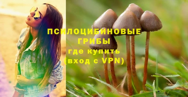 соль курить ск Новозыбков