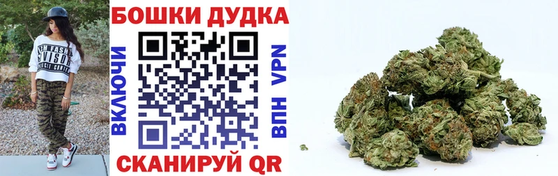 блэк спрут как войти  цены наркотик  Кировград  Бошки Шишки VHQ 